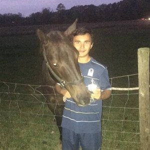 Meet your Posher, Larik